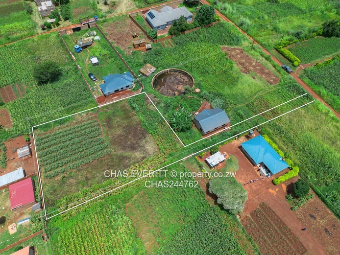 Charlotte brook Stand