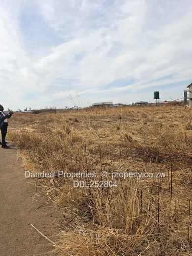 A choice of 3 stands. 2000 sqm Pomona Stand on Paved Road with Drainage