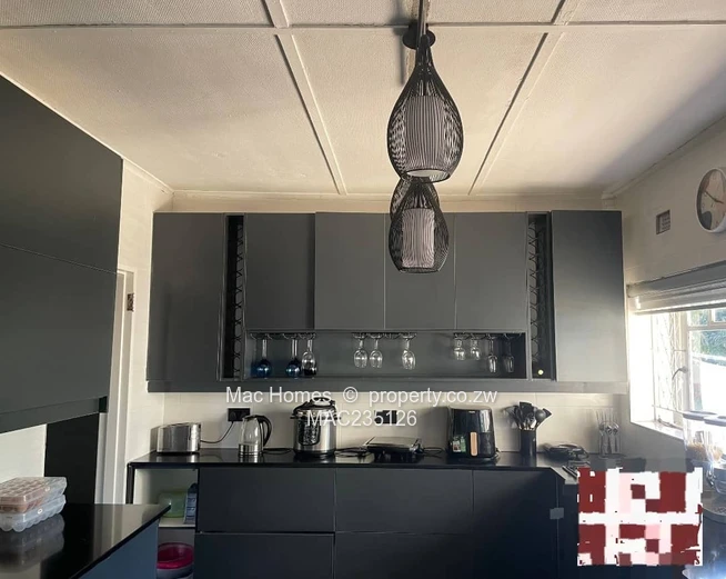 Modern Offering- Neat and Solid