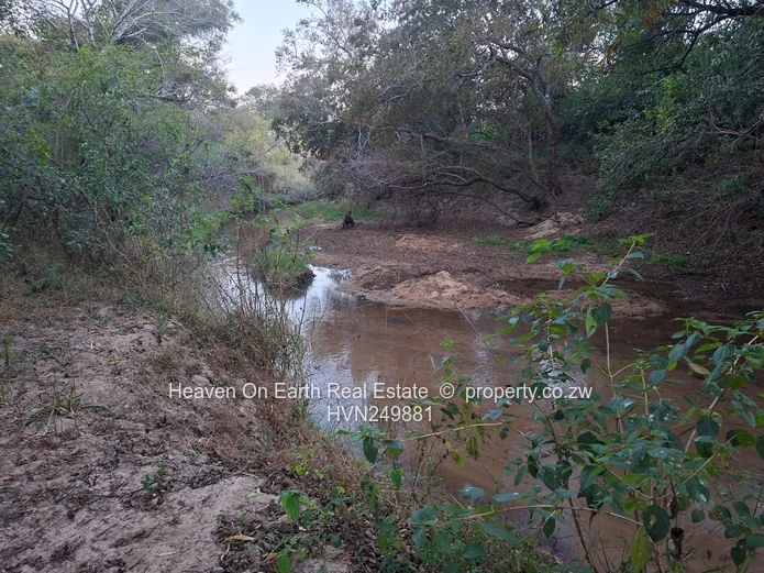Plots with a river