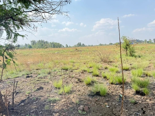 Stands & Residential Land