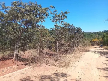 Farm & Agricultural Land