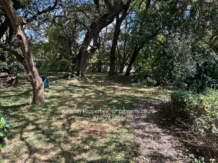 Solid home in Athlone (Sole Mandate)