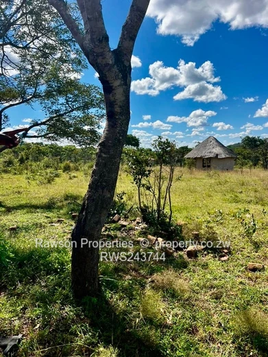 Gutu farm for sale 