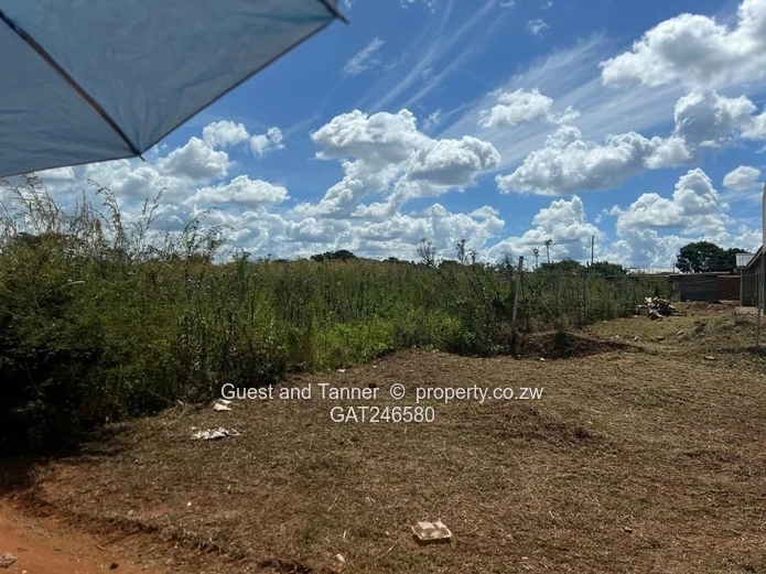 Low and High Density Stands for Sale 