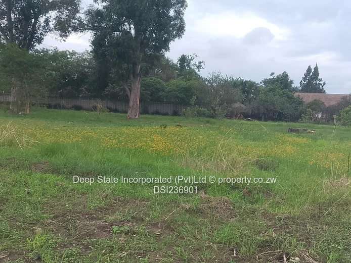 Marlborough stand for sale 