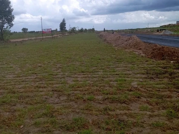 Stands & Residential Land