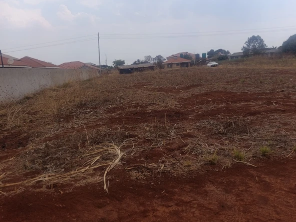 Stands & Residential Land