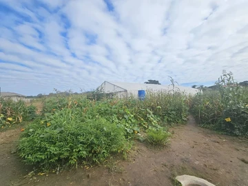 Residential Land in Crowhill 