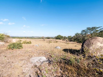 Farm & Agricultural Land