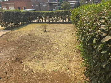 2 Bedroom Flat & Apartment