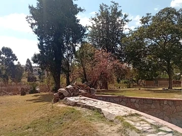 Farm & Agricultural Land
