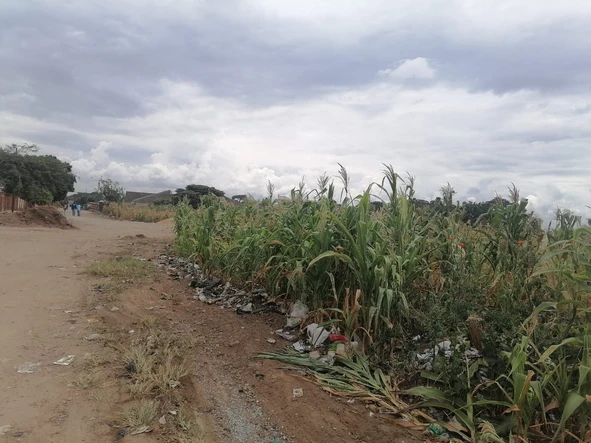 Stands & Residential Land