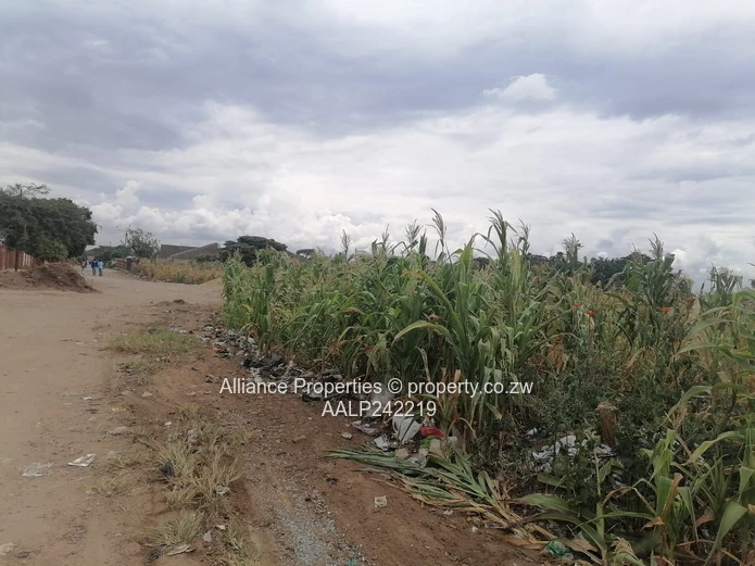 Stand for Sale – Mainway Meadows