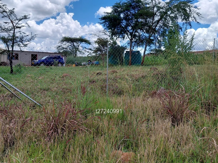 Borrowdale Crowhill Stand 