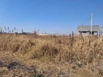 Stands & Residential Land
