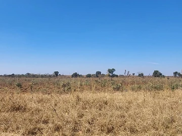 Farm & Agricultural Land