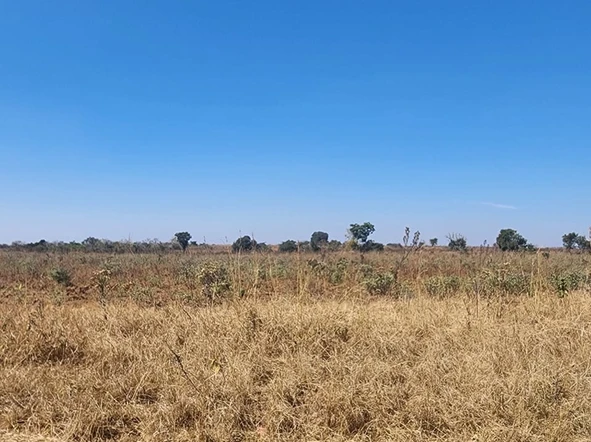 Farm & Agricultural Land
