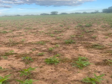 Farm & Agricultural Land