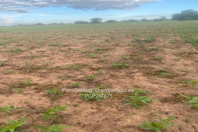 Farm for sale