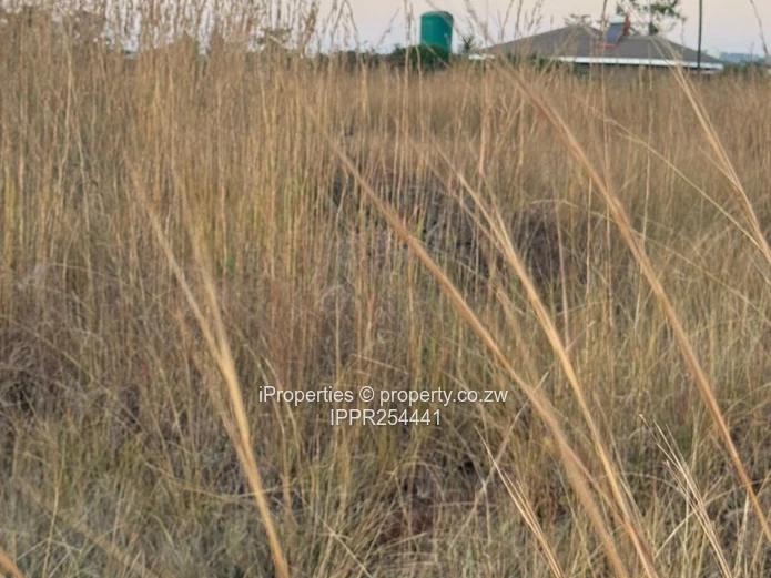 Prime 2732sqm Fully Serviced Stand - Unmatched Investment Potential (Sole Mandate)