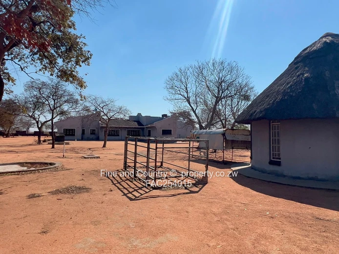 Prime Plot on the Main Road