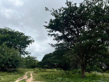 Farm & Agricultural Land