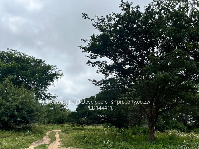 20-23ha agro-residential land,3km from the Masvingo Rd
