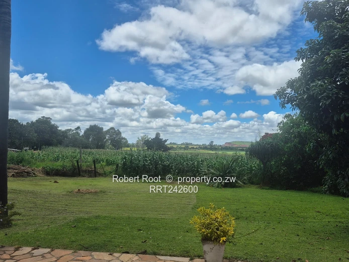 Prime land in Mt Hampden