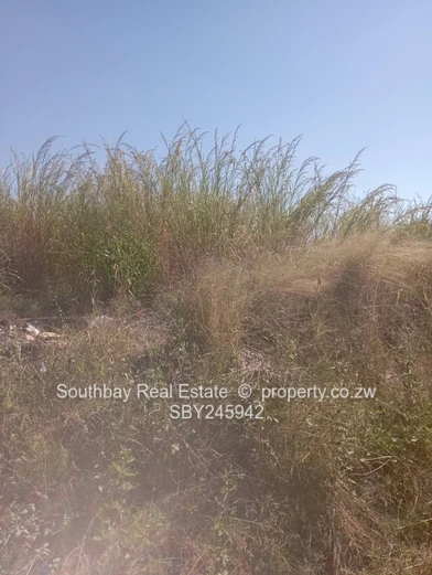 Waterfalls Induna Stands