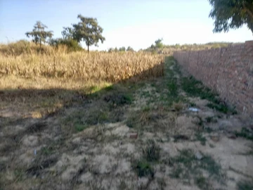 Land