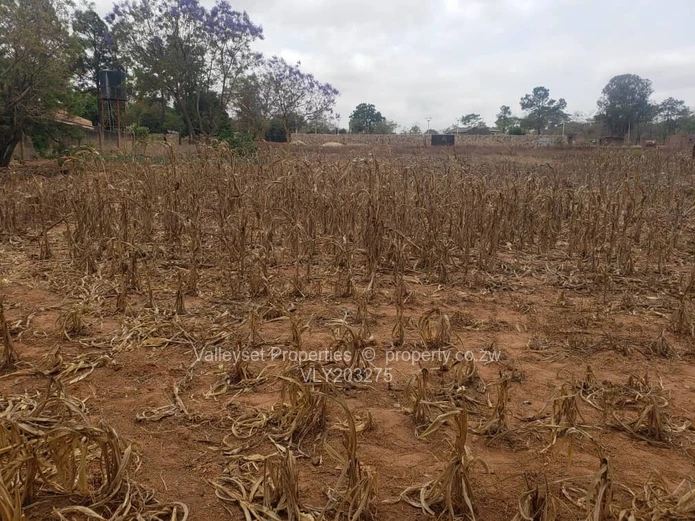 2000 m² Residential Land for Sale in Upscale Borrowdale, Harare North