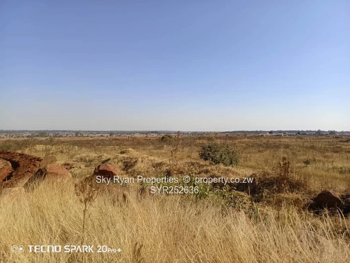 Nyeredzi Pomona Stand For Sale