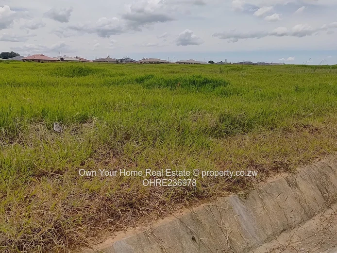 Dabuka village stand for sale 