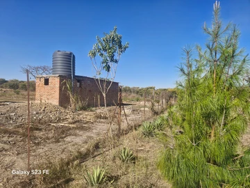 Farm & Agricultural Land