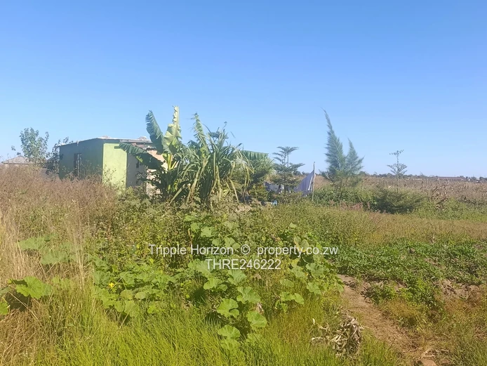 1000m² Norton Stand — Level, built up area