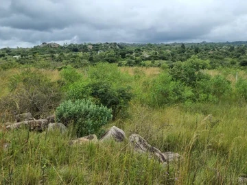 Commercial & Industrial Land