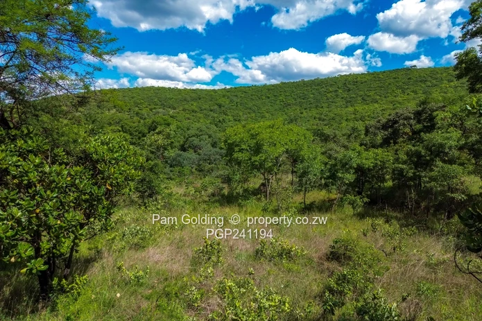 Commercial  / Agro Residential Land For Sale – Arcturus, Cromlet!
