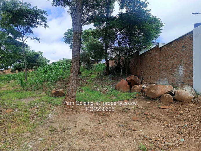 Corner Residential Stand For Sale!