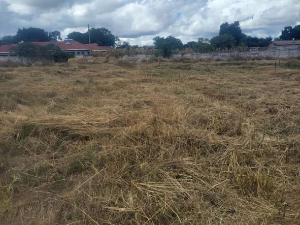 Stands & Residential Land