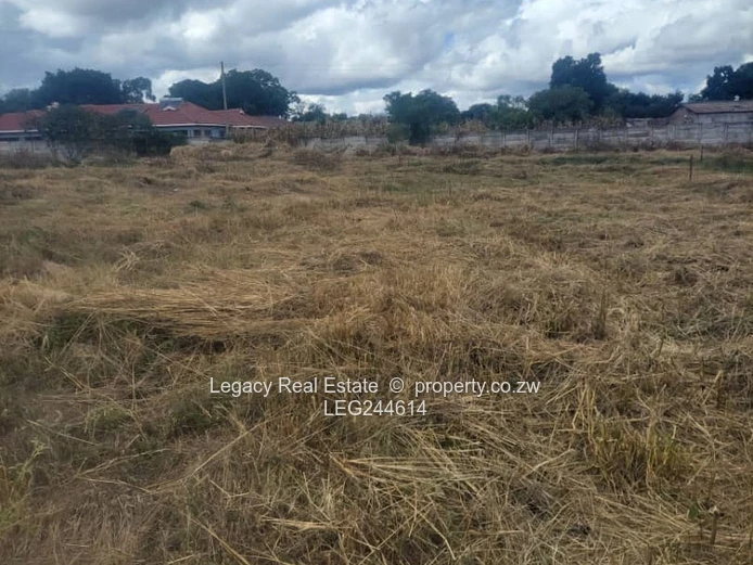 Waterfalls Prospect Cluster Stands For Sale