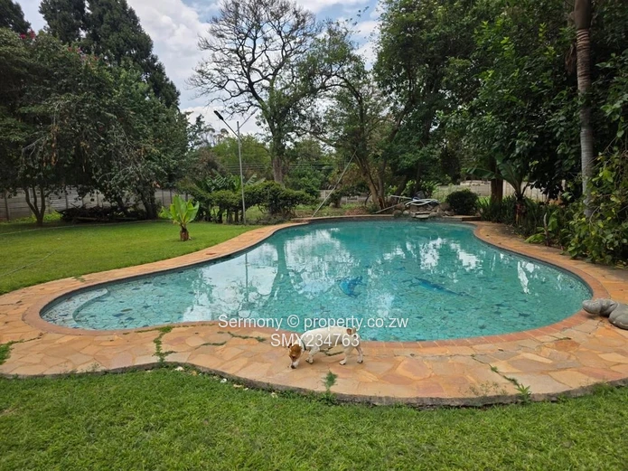 Residential house for rent