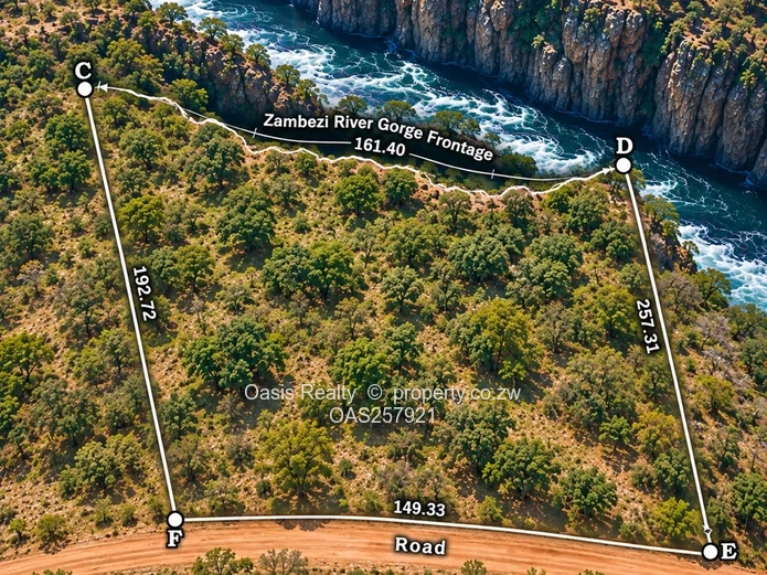 Investment Opportunity | Zambezi Gorge, Victoria Falls