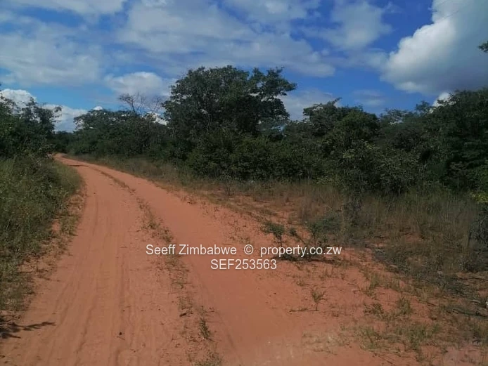 Land For Potential Development .