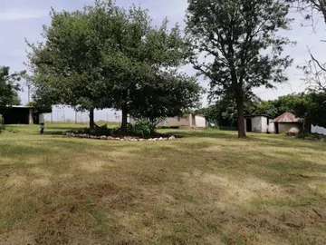 Farm & Agricultural Land