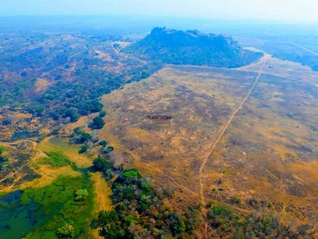 Farm & Agricultural Land