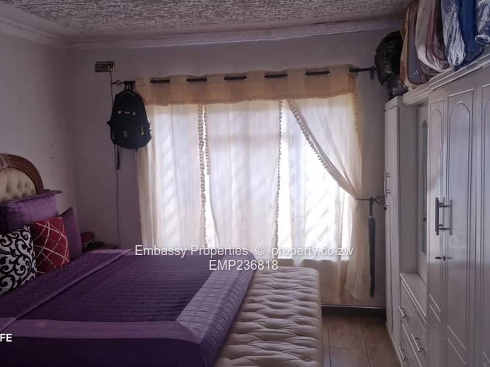 Great investment opportunity