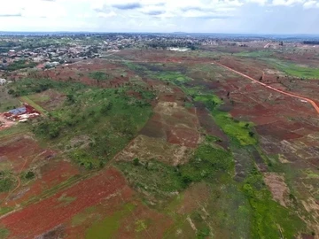 Stands & Residential Land
