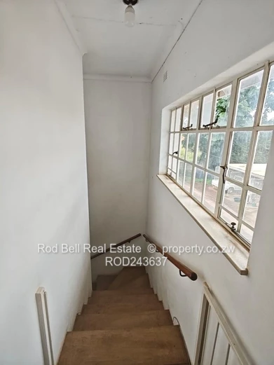 Avondale West: 2-Bed Garden Flat