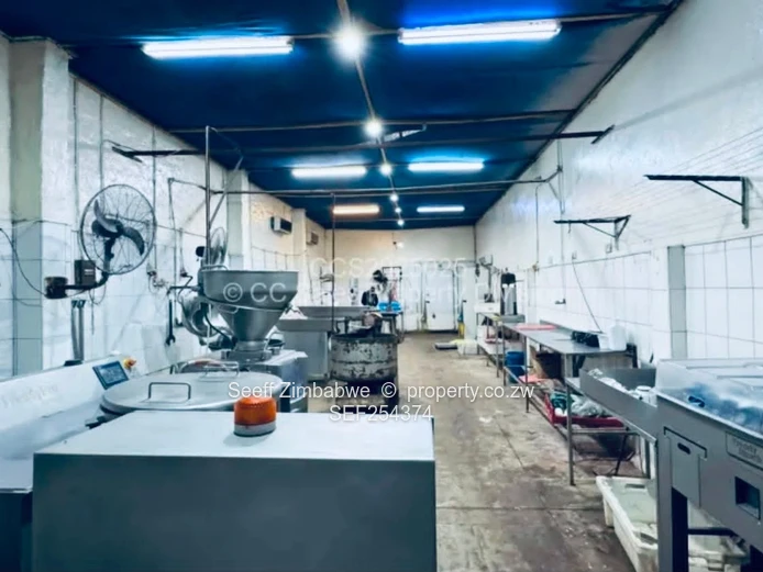Bulawayo Commercial Property & Established Meat Manufacturing Business For Sale